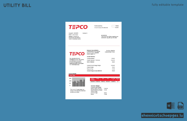 Beispielrechnung der Tokyo Electric Power Company (Japan)